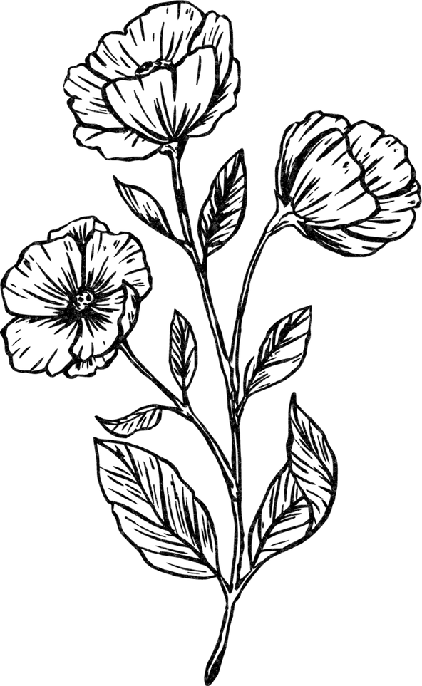 Gold Flower Stalk Line Art